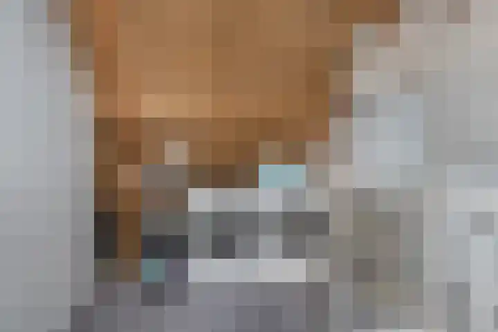 De Koperslager 22 Sint-Michielsgestel thumbnail 19