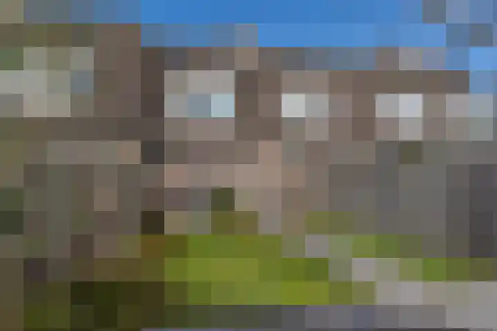 De Koperslager 22 Sint-Michielsgestel thumbnail 21
