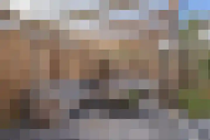 De Koperslager 22 Sint-Michielsgestel thumbnail 25