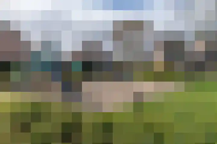 De Koperslager 22 Sint-Michielsgestel thumbnail 30