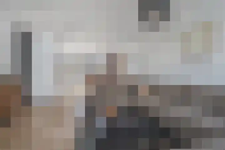 De Koperslager 22 Sint-Michielsgestel thumbnail 4