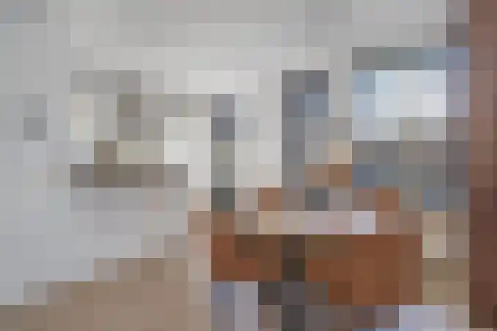 De Koperslager 22 Sint-Michielsgestel thumbnail 7