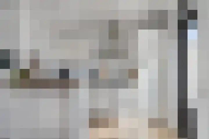 De Koperslager 22 Sint-Michielsgestel thumbnail 8