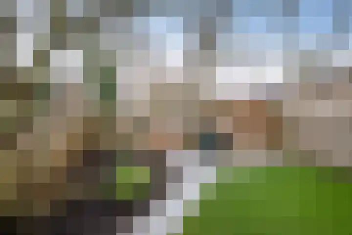 De Koperwiek 12 Zuidhorn thumbnail 24