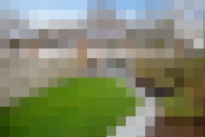 De Koperwiek 12 Zuidhorn thumbnail 25
