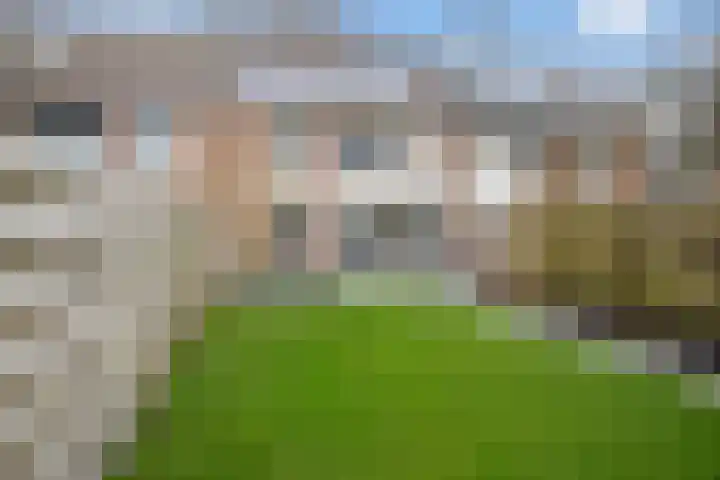 De Koperwiek 12 Zuidhorn thumbnail 26