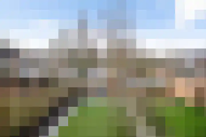 De Koperwiek 12 Zuidhorn thumbnail 39