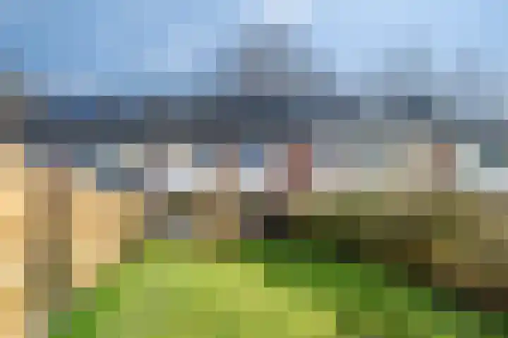 De Koperwiek 13 Zuidhorn thumbnail 25