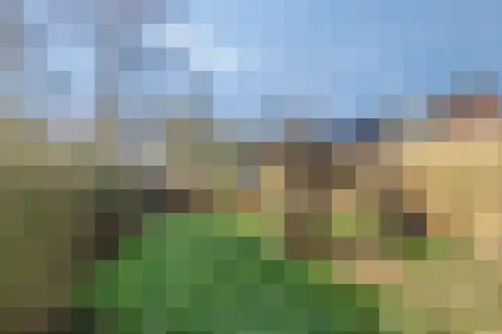 De Koperwiek 13 Zuidhorn thumbnail 27