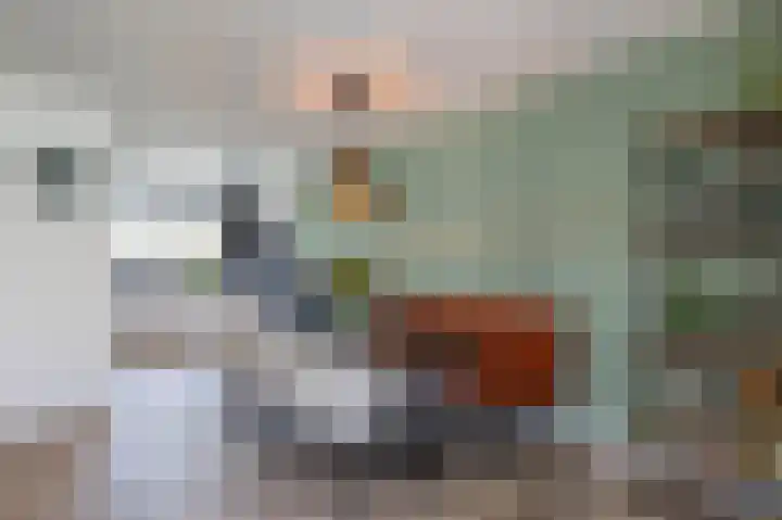 De Koperwiek 15 Almelo thumbnail 11