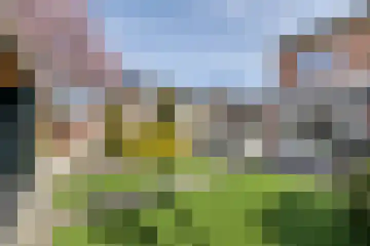 De Koperwiek 15 Almelo thumbnail 27