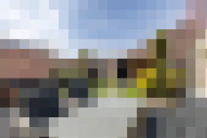 De Koperwiek 15 Almelo thumbnail 28
