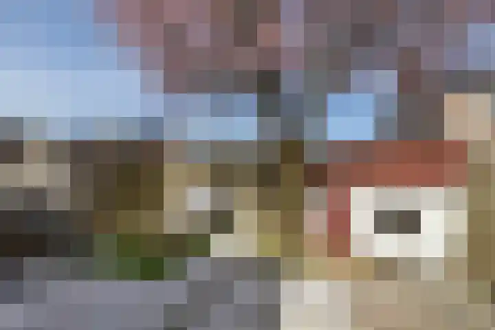 De Koperwiek 15 Almelo thumbnail 32
