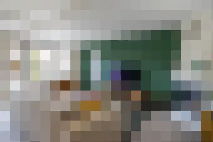 De Koperwiek 15 Almelo thumbnail 7
