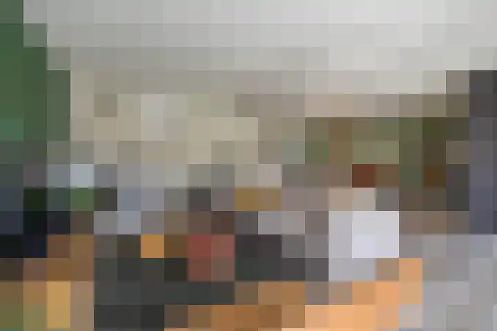 De Koperwiek 15 Almelo thumbnail 8