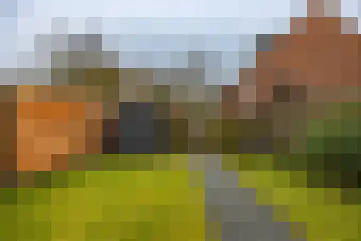 De Koperwiek 15 Zuidhorn thumbnail 11