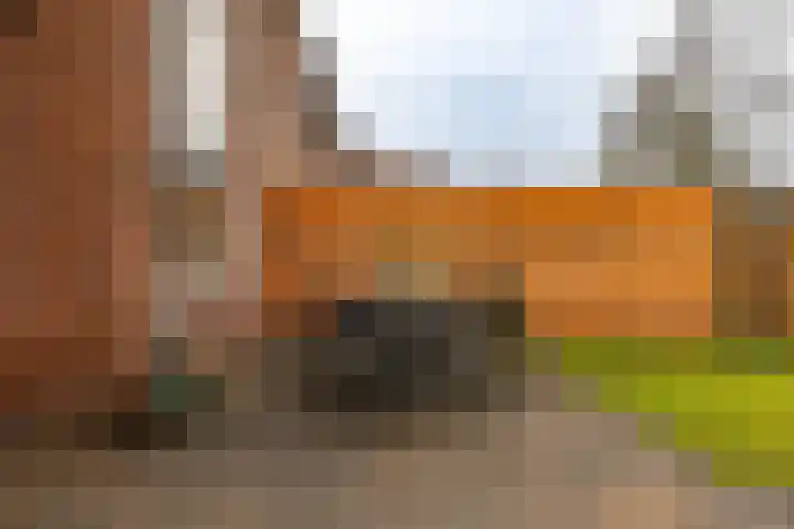 De Koperwiek 15 Zuidhorn thumbnail 14