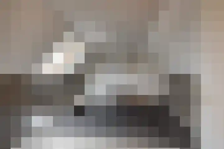 De Koperwiek 15 Zuidhorn thumbnail 33