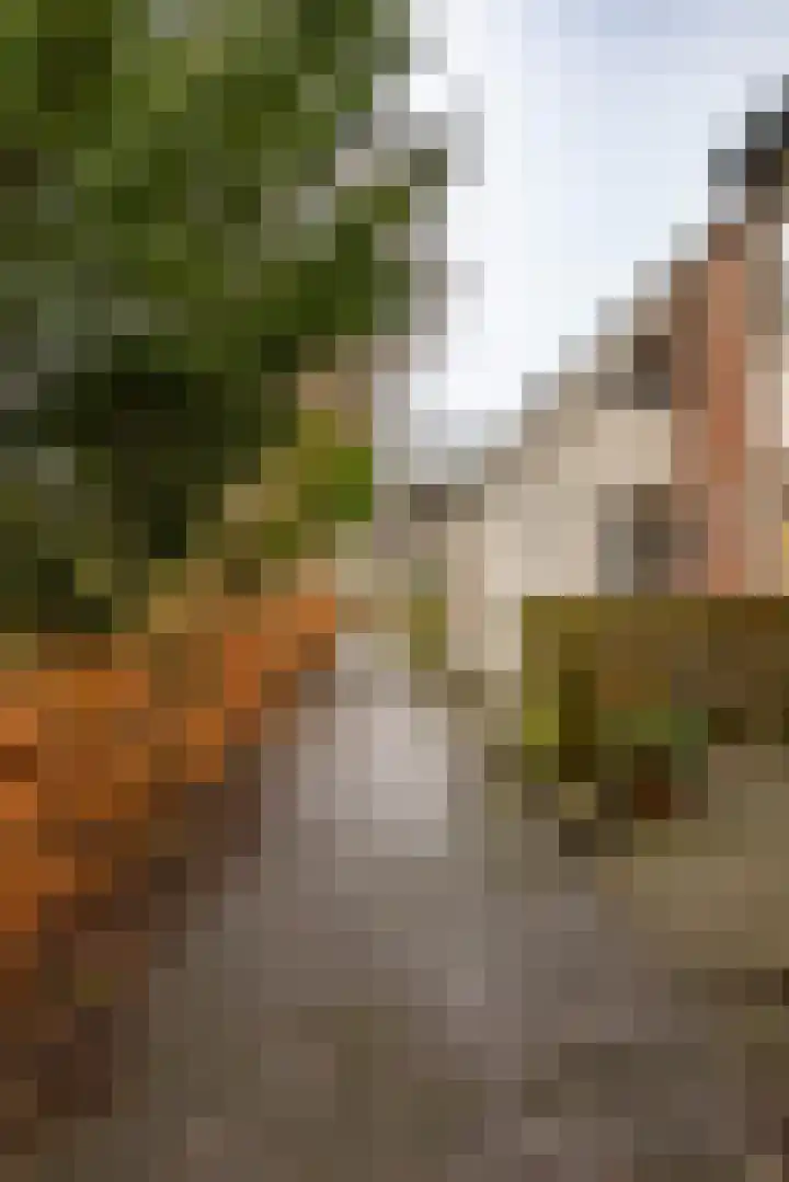 De Koperwiek 15 Zuidhorn thumbnail 35