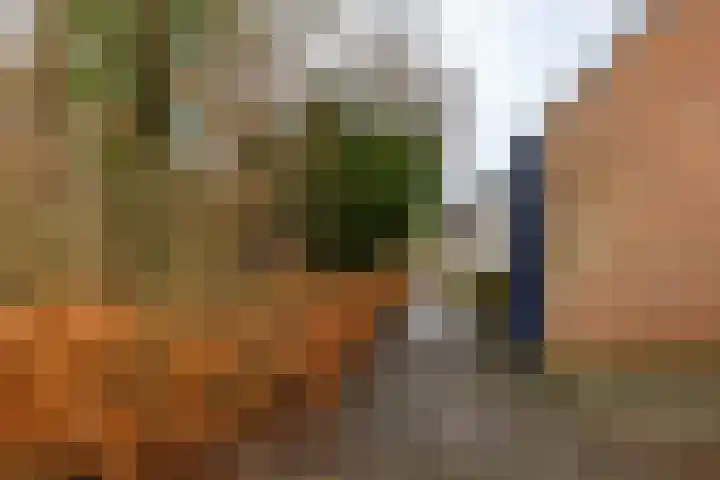 De Koperwiek 15 Zuidhorn thumbnail 37