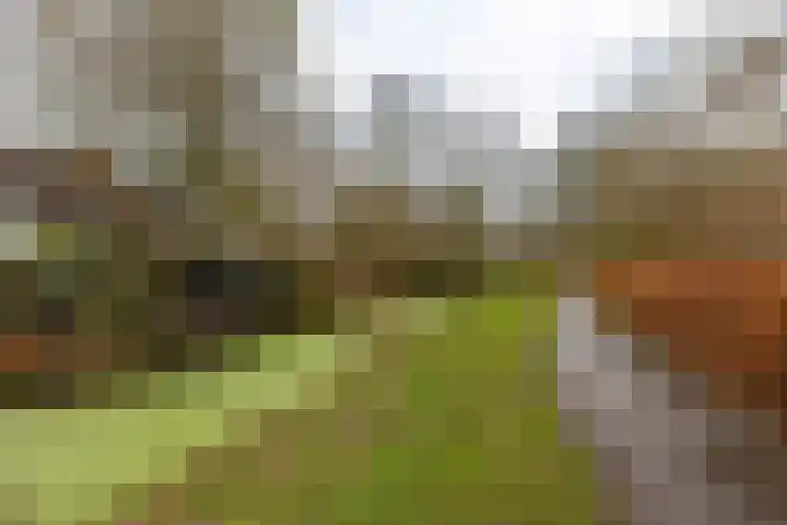 De Koperwiek 15 Zuidhorn thumbnail 38
