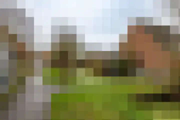 De Koperwiek 15 Zuidhorn thumbnail 39