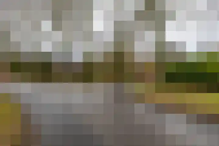 De Koperwiek 15 Zuidhorn thumbnail 41