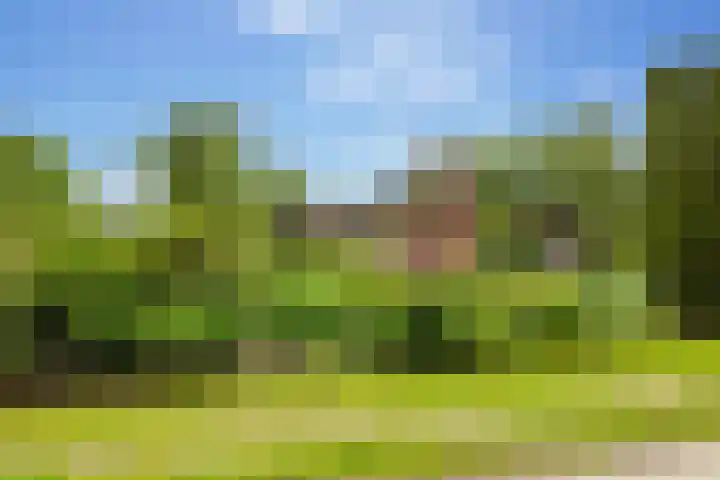 De Koperwiek 19 Almelo thumbnail 11
