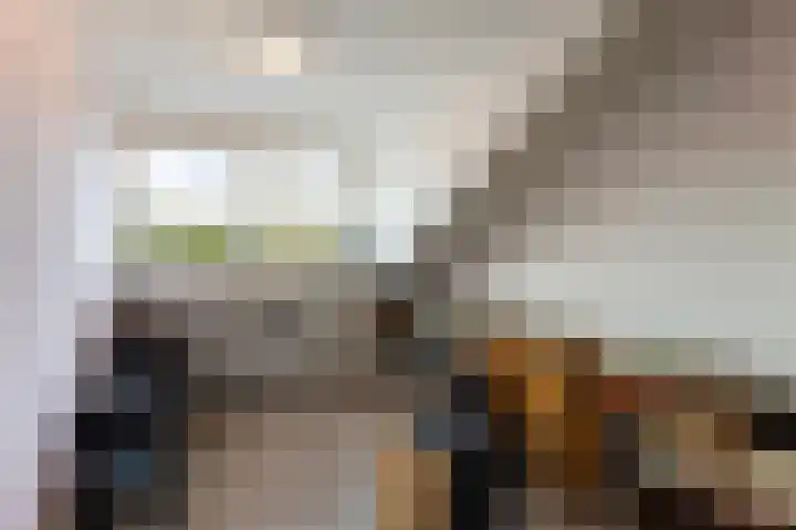 De Koperwiek 19 Almelo thumbnail 35