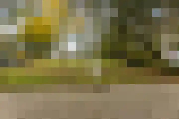De Koperwiek 19 Almelo thumbnail 4