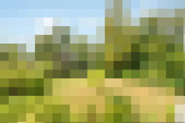 De Koperwiek 19 Almelo thumbnail 5