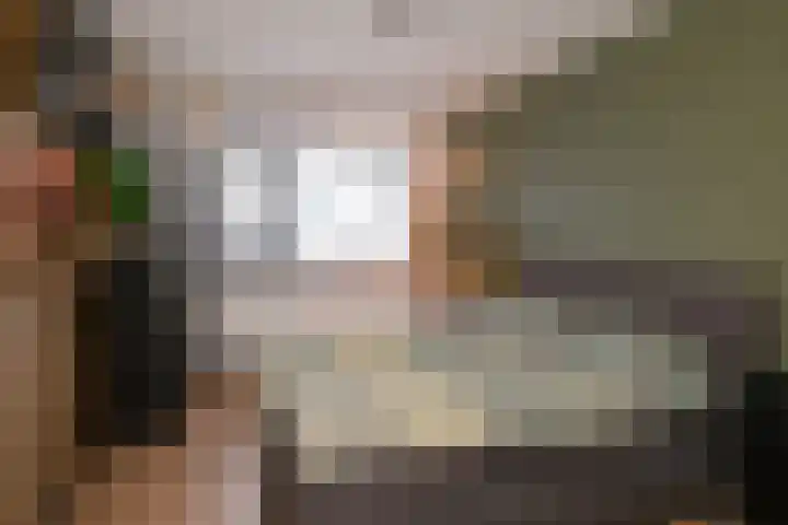 De Koperwiek 21 Almelo thumbnail 15
