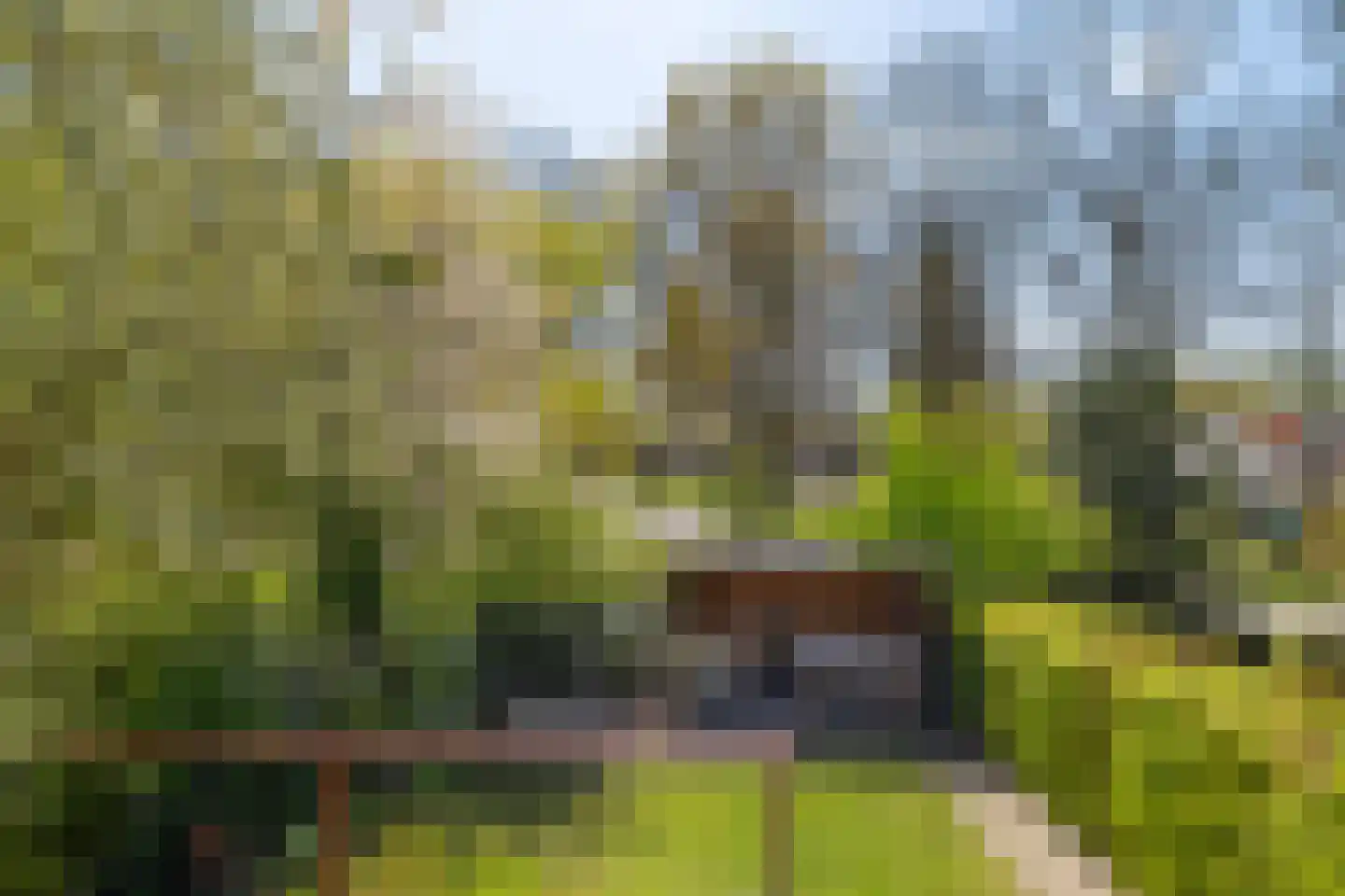 De Koperwiek 21 Zuidhorn thumbnail 29