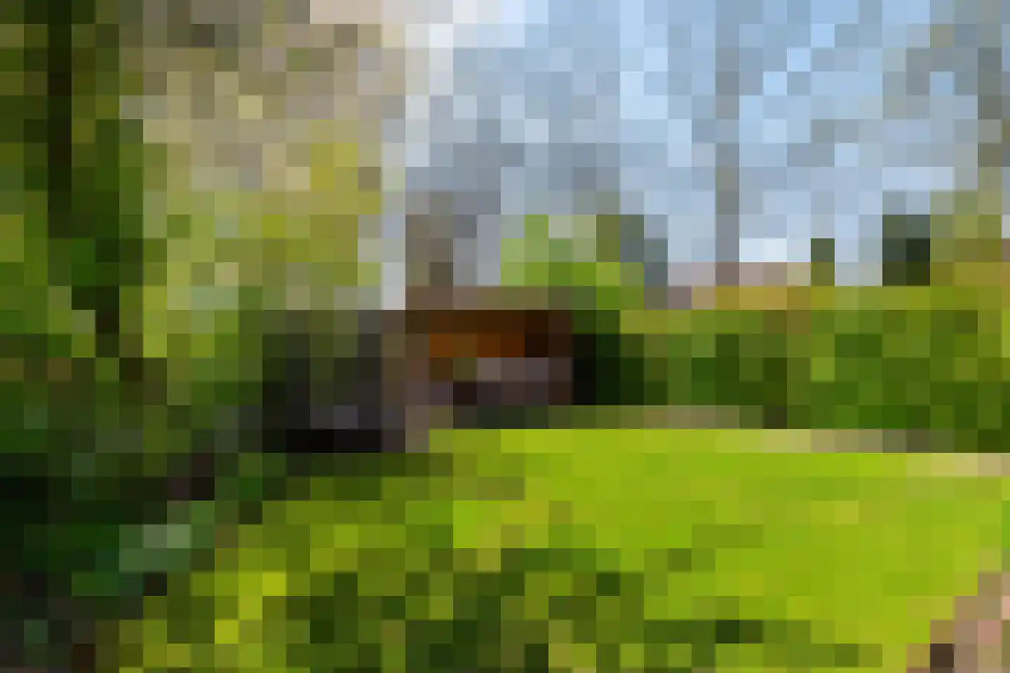De Koperwiek 21 Zuidhorn thumbnail 52