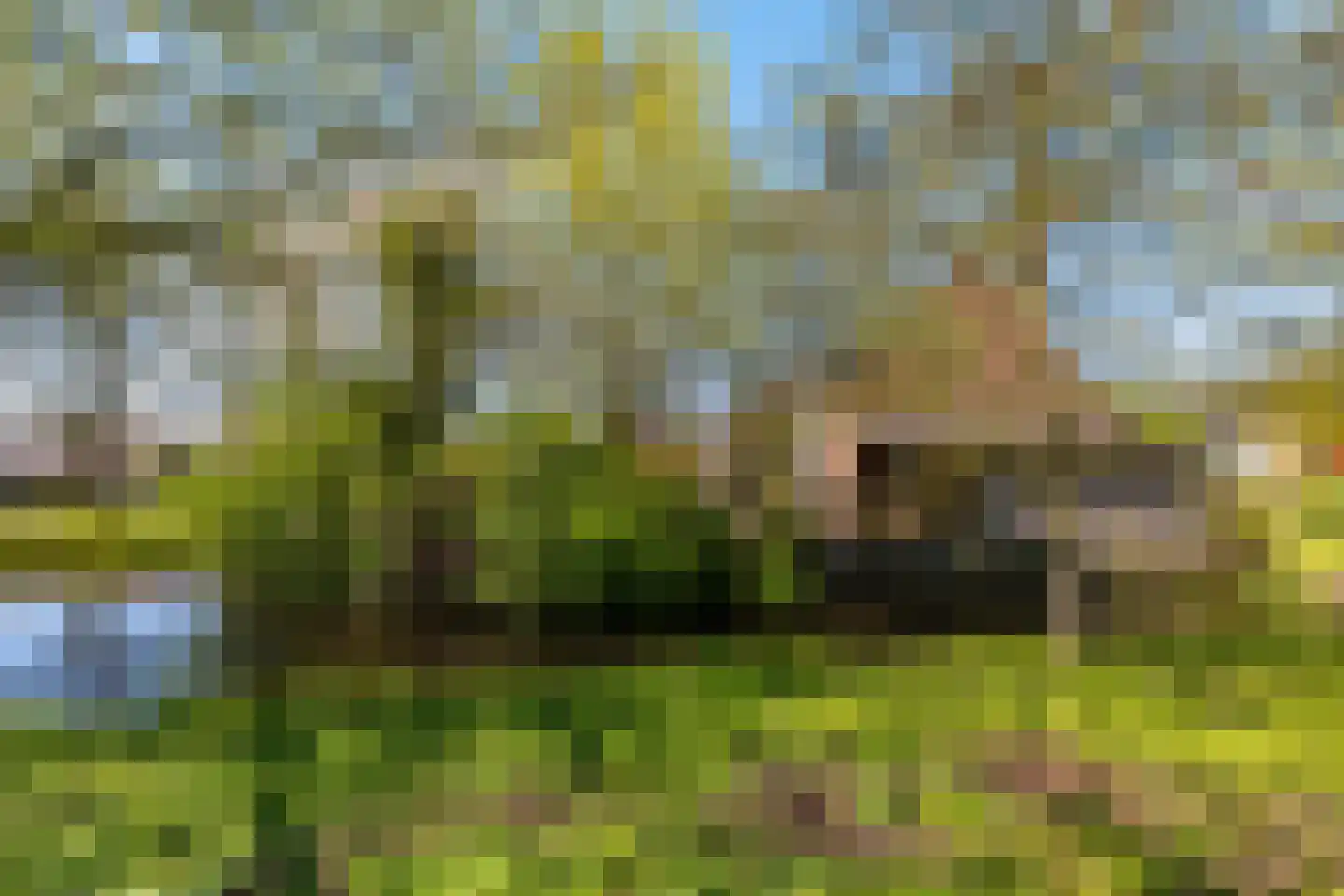 De Koperwiek 21 Zuidhorn thumbnail 9