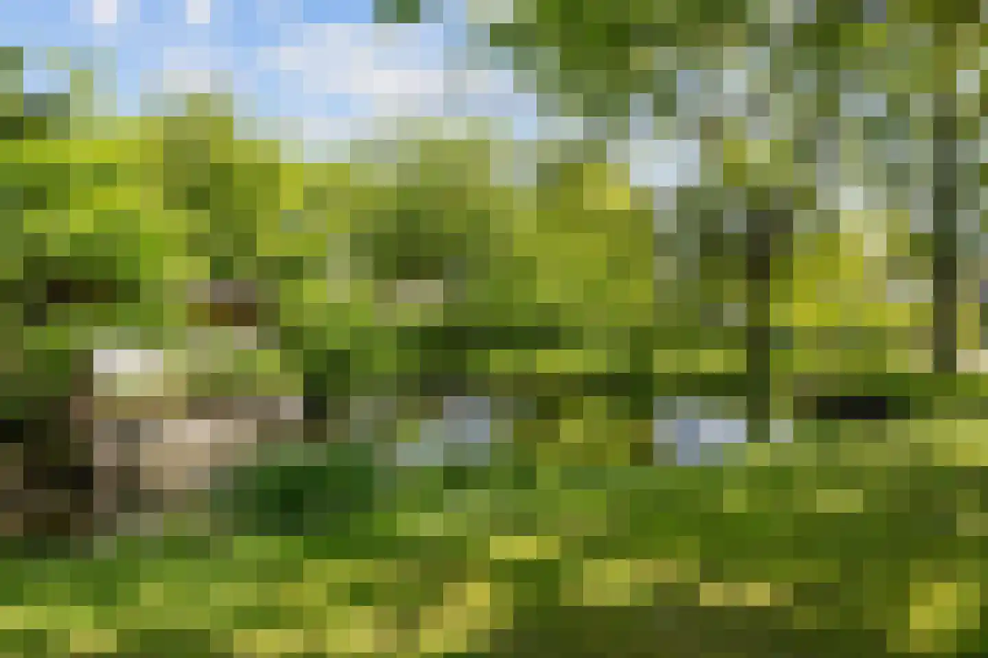 De Koperwiek 22 Zuidhorn thumbnail 38