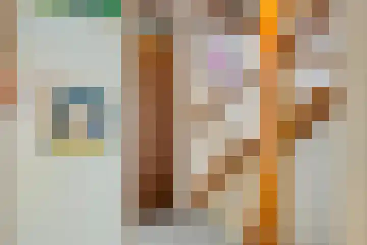 De Koperwiek 30 Almelo thumbnail 12