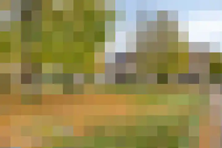 De Koperwiek 30 Almelo thumbnail 28