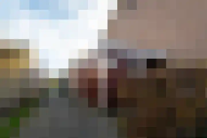 De Koperwiek 77 Almelo thumbnail 25