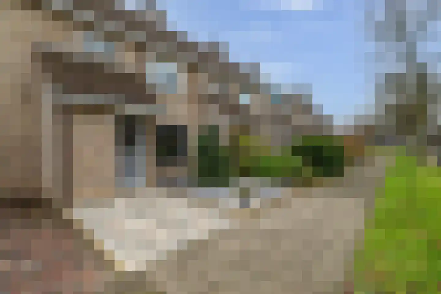 De Koperwiek 82 Almelo thumbnail 5