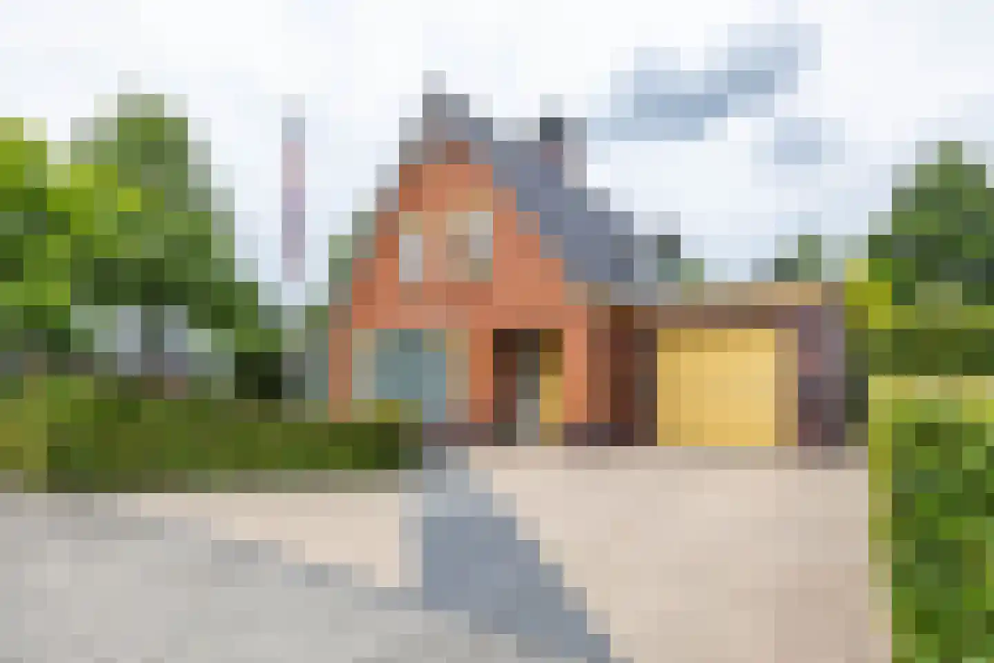 De Koppel Paarden 2 in Marum