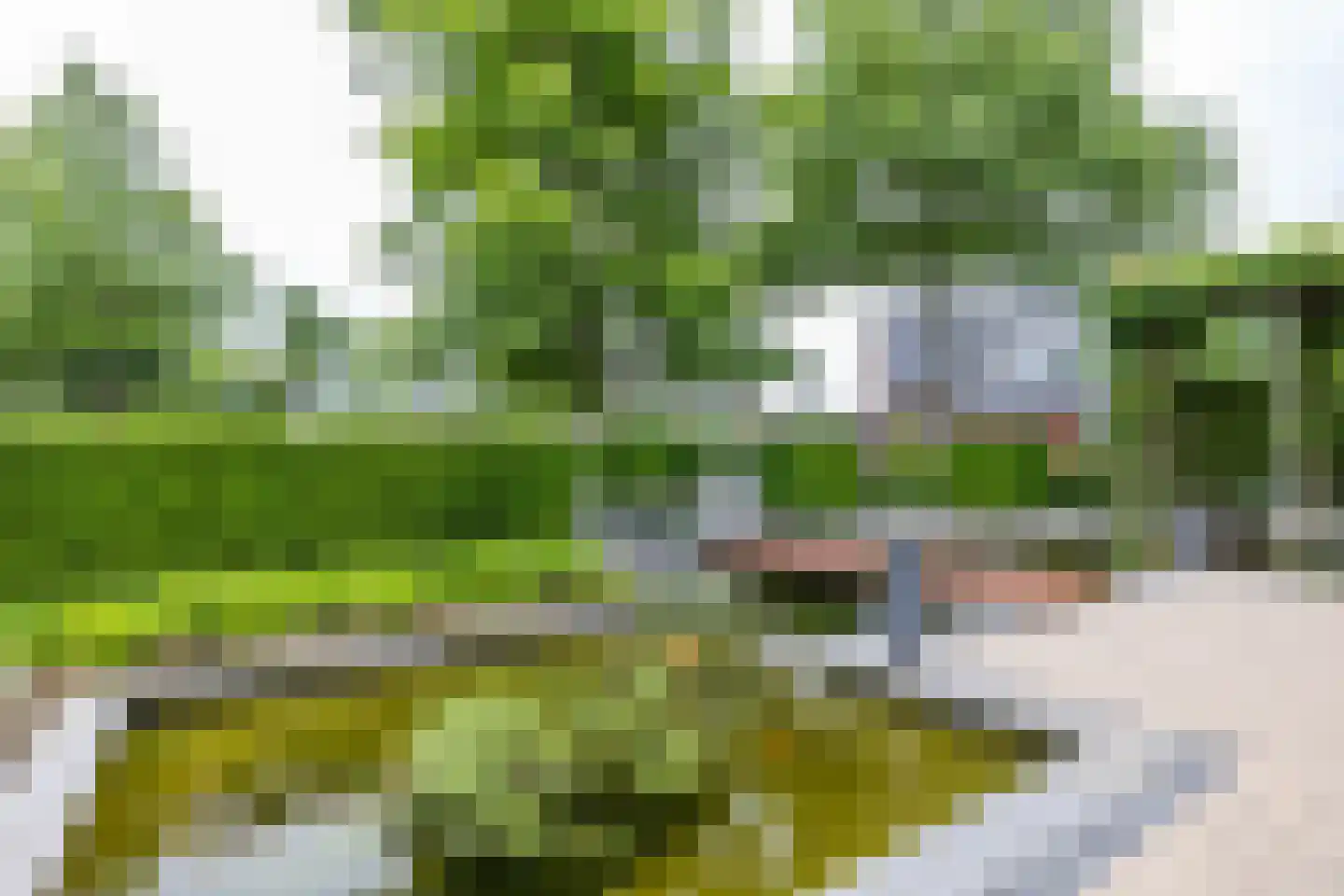 De Koppel Paarden 2 Marum thumbnail 10