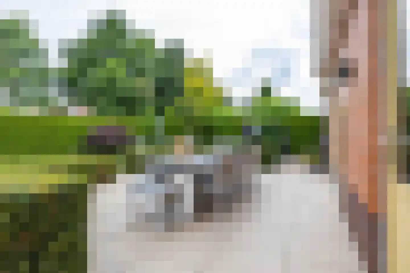De Koppel Paarden 2 Marum thumbnail 11
