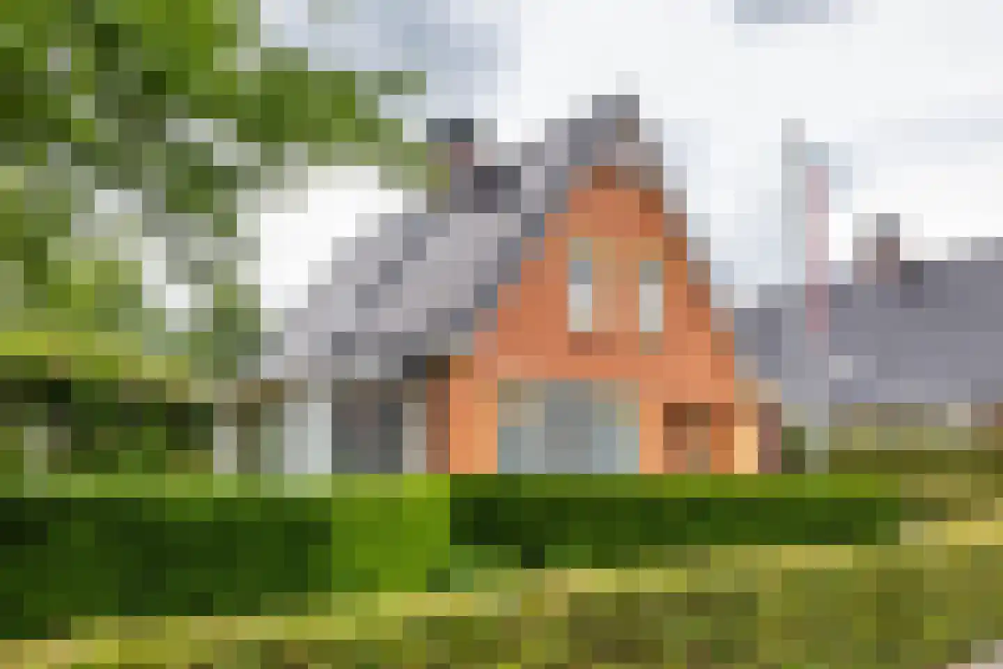 De Koppel Paarden 2 Marum thumbnail 12