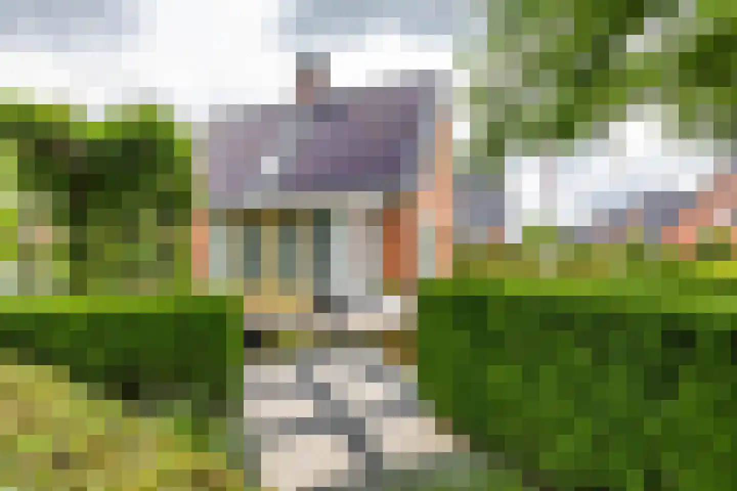 De Koppel Paarden 2 Marum thumbnail 13