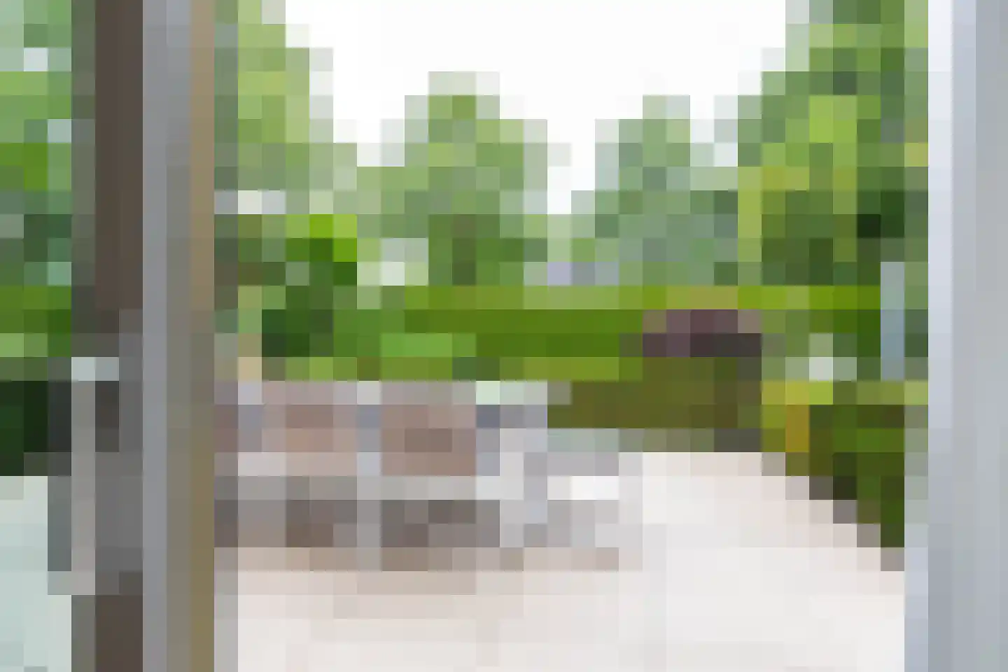 De Koppel Paarden 2 Marum thumbnail 33
