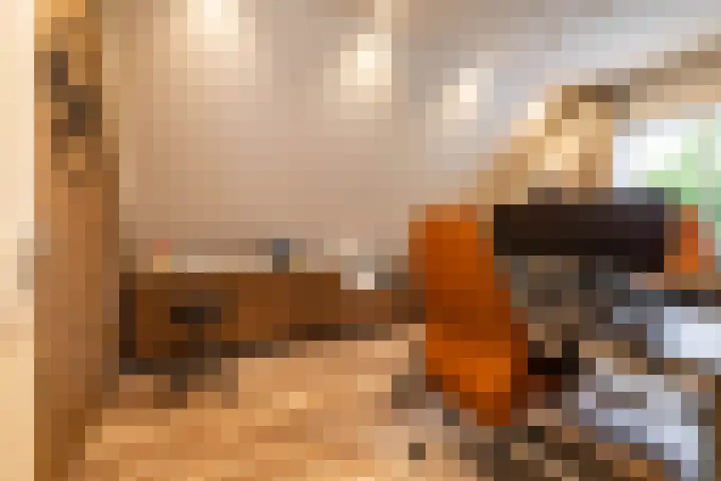 De Koppel Paarden 2 Marum thumbnail 49