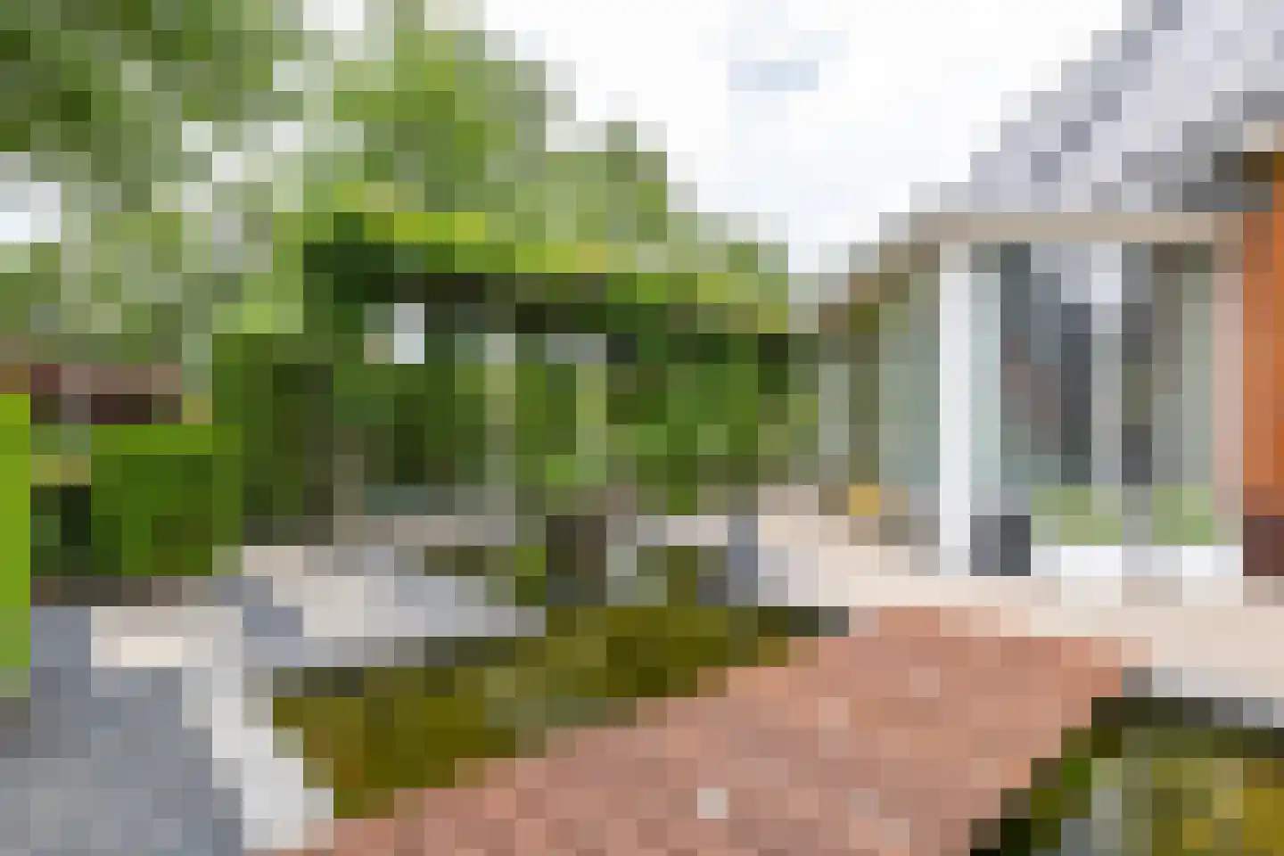 De Koppel Paarden 2 Marum thumbnail 55