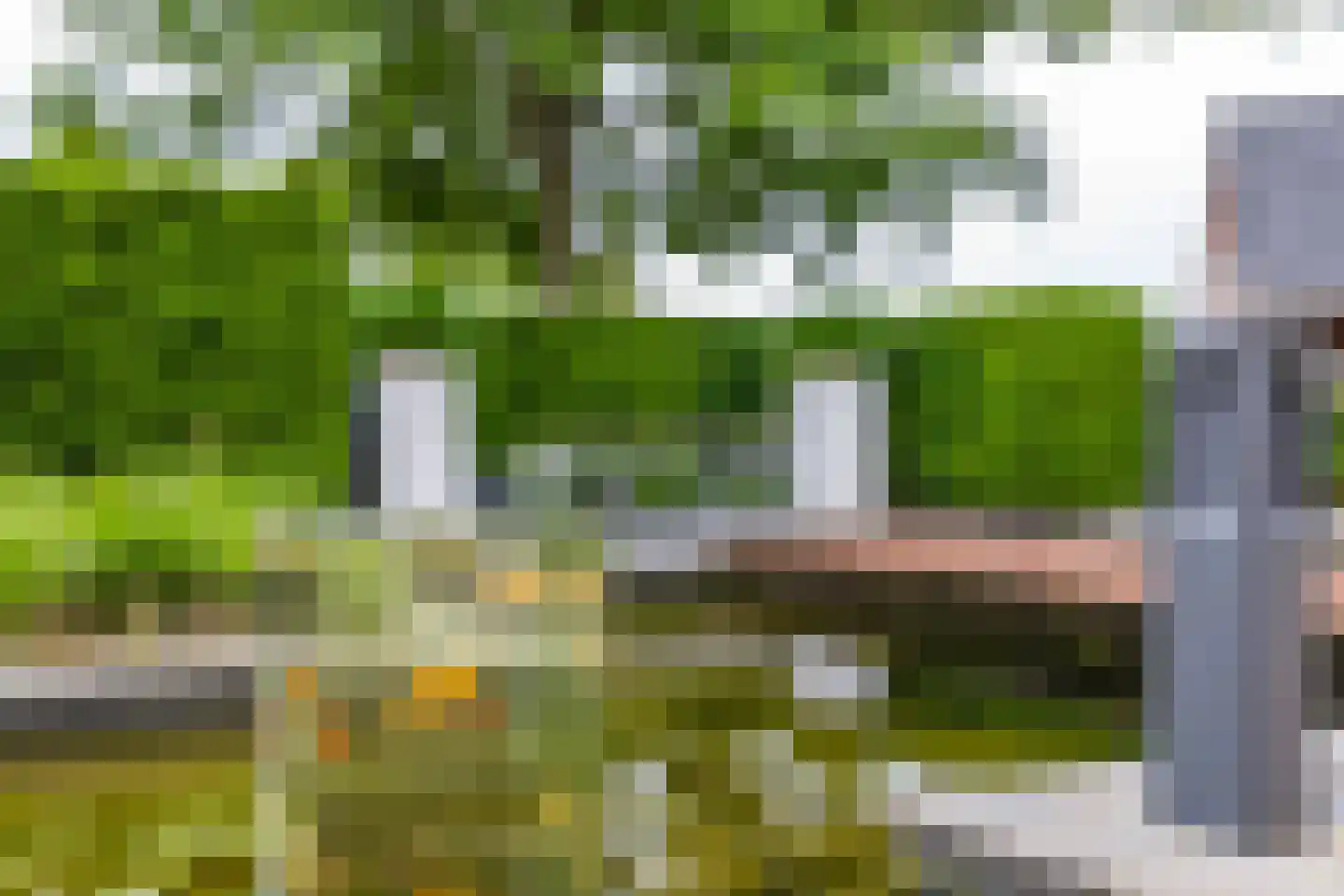 De Koppel Paarden 2 Marum thumbnail 61