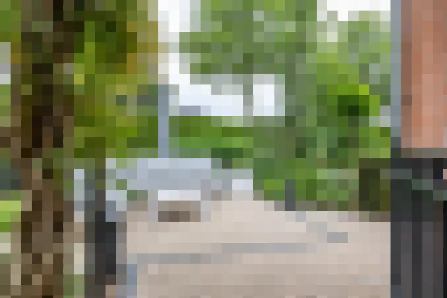 De Koppel Paarden 2 Marum thumbnail 65